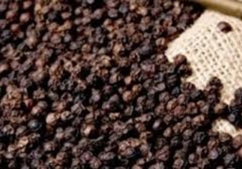 Black Pepper