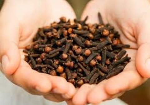 Cloves