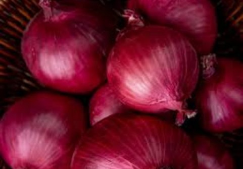 Onion