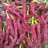 Byadgi KDL Kaddi ChilliesThumnail