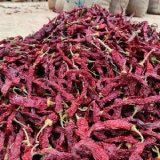 Byadgi KDL Kaddi Chillies Thumnail