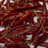 Indo 5 Endo 5 Chilli Thumnail