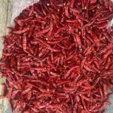 Romi 26 Chilli Guntur Thumnail