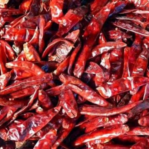 S-273 Wrinkle Dried Red Chillies