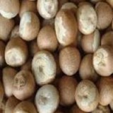 Supari Sirsi Thumnail