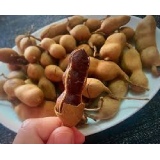 Tamarind Thumnail