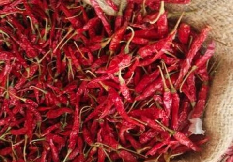 Romi 26 Chilli Guntur