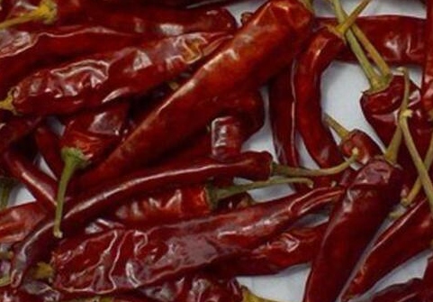 Indo 5 (Endo 5) Chilli