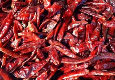 S-273 Wrinkle Dried Red Chillies