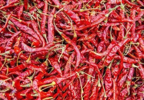 Chilli